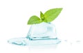 Cube of ice and leaf mint