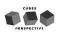 Cube icon set with perspective. 3d model of a cube. Vector illustration. Isolated on white background Royalty Free Stock Photo