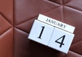 Cube calendar with date January 14th Royalty Free Stock Photo