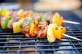 cubed pork and pineapple on skewers over grill Royalty Free Stock Photo