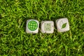 Cubes, dice or blocks with climate change in green grass