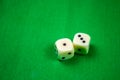 2 cubes dices on green background Royalty Free Stock Photo