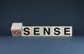 Cubes form the words Sense or Nonsense. The concept of logical useful information versus silly and illogical absurdity