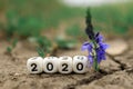 Cubes on the ground next to a flower, on the cubes numbers 2020