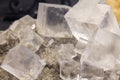 Cubes of Halite mineral Royalty Free Stock Photo