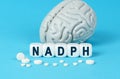 Cubes lie on the table among the pills and imitation of the brain. The text on the dice - NADPH Royalty Free Stock Photo