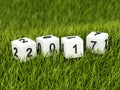 Cubes with 2017 New Year sign on grass