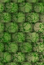 Cubes of shadows on green circles Royalty Free Stock Photo