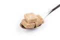 Cubes of sugar on a spoon Royalty Free Stock Photo