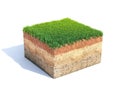 Cubic cross section of ground with grass, ecology, geology concept, soil sample isolated on white, 3d rendering