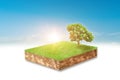 Cubical soil slice, green grass with trees floating over sky cloud