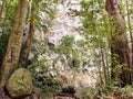 Cubo de Galga in northeast of the green Canary island of La Palma