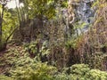 Cubo de la Galga in the northeast of the green Canary island of La Palma