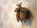 Cuckoo clock