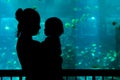 Cucoloris in Aquarium in Singapore Royalty Free Stock Photo