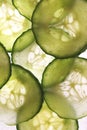 Cucumber Royalty Free Stock Photo