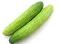 Cucumber