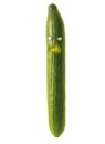 Cucumber Royalty Free Stock Photo