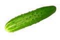 Cucumber Royalty Free Stock Photo