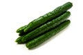 Cucumber