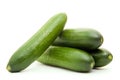 Cucumber