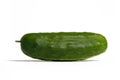 Cucumber