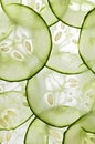 Cucumber Royalty Free Stock Photo