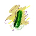 Cucumber. Abstract cucumber isolated on bright background. Green cucumber