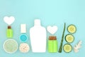 Cucumber and Aloe Vera Ingredients for Natural Organic Skincare Royalty Free Stock Photo