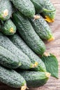 Cucumber background Cucumber harvest. Many green cucumbers. Cucumbers from the field. Royalty Free Stock Photo