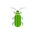 Cucumber Beetle Icon