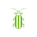 Cucumber Beetle Icon