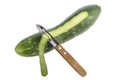 Cucumber being peeled with a wooden peeler and a Bark from peeled cucumber on white