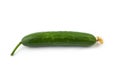 Cucumber, big cucumber