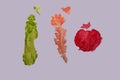 Cucumber ,carrot  and tomato abstract painting Royalty Free Stock Photo