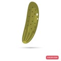 Cucumber color flat icon