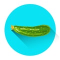 Cucumber Colorful Vegetable Icon