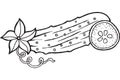 Cucumber coloring page hand drawn illustration