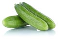 Cucumber cucumbers fresh vegetables isolated on white Royalty Free Stock Photo
