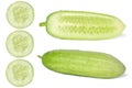 Cucumber,Cucumis sativus