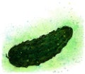 Cucumber drawn with paints