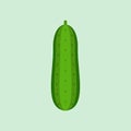 cucumber flat design vector illustration