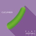 Cucumber flat icon illustration with long shadow