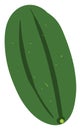 Cucumber flat, illustration, vector