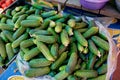 Cucumber. Fresh organic vegetables on sale at the local farmers summer market outdoors. Healthy organic food concept. Royalty Free Stock Photo