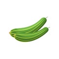 Cucumber Fruit Flat Design Vector Illustration Isolated on a white background Royalty Free Stock Photo