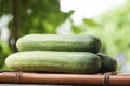 Cucumber fruits on natural background Royalty Free Stock Photo