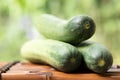 Cucumber fruits on natural background Royalty Free Stock Photo