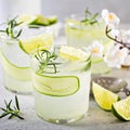 Cucumber gin gimlet Royalty Free Stock Photo