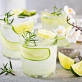 Cucumber gin gimlet